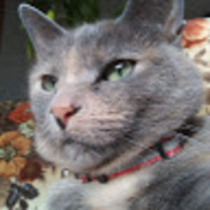 Meet your Posher, Kendall